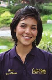 The Arabian Horse Center The Arabian Horse Center