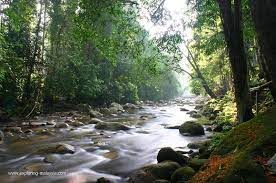 Sungai pahang ialah sungai di pahang, malaysia di semenanjung malaya. Sungai Terpanjang Di Malaysia Ialah Sungai