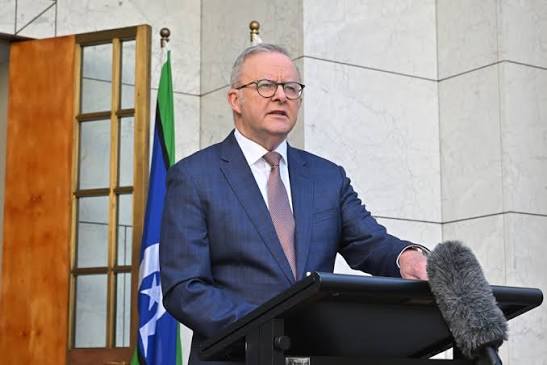 One Nation surges into second place in two polls, but Labor remains well ahead after preferences
