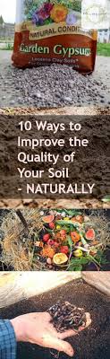 The following are the ways in which i improved my lifeless soil 1: 10 Ways To Improve The Quality Of Your Soil Naturally Bless My Weeds