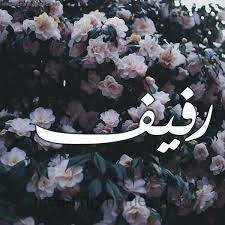 pin on منشوراتي المحفوظة