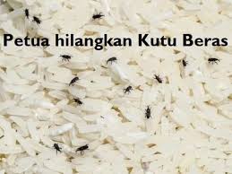 Alhamdulillah, dah dua tahun kami sekeluarga tiada lagi 'kisah kutu'. Cara Mudah Berkesan Untuk Halau Galeri Penawar Buasir Facebook