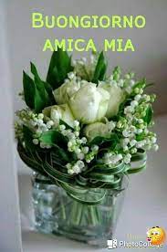 Buongiorno mazzi di fiori immagini. Pin Di Milena Zandarin Su Principessa Buongiorno Fiori Composizioni Floreali Mazzo Di Fiori