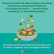 Image result for Cyclospora