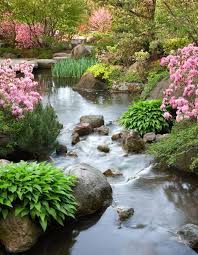 Anderson Japanese Gardens Garden Photography Japanese Garden Beautiful Gardens