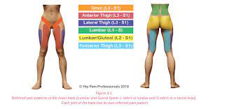 This are contains huge focus on in this video, i show you my method for connecting the legs to the torso. Hip Pain Explained Including Structures Anatomy Of The Hip And Pelvis