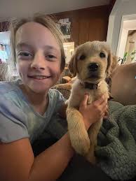 Lost Puppy in Lufkin Fairview Area Near Airport Road