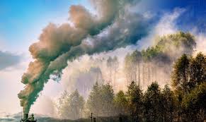 Image result for Science Environment Biodiversity Extinction