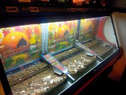 Coin Pusher Game Still Love These Now Childhood Memories 70s Childhood Memories My Childhood Memories