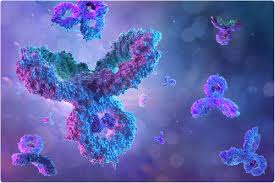 Ora si chiama variante delta, ma tutti la conoscono come indiana. Study Compares Pfizer And Moderna Mrna Vaccine Elicited Response To Sars Cov 2 Variants