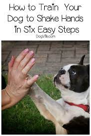 How To Train A Dog To Shake Hands In 6 Easy Steps Dogvills Dog Shaking Dog Training Tips Training Your Puppy
