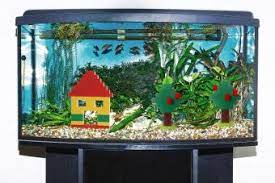 Without regard to how it makes the fish stand out, the color of accessories and gravel will set the theme of your aquarium. Fish Tank Decoration Ideas Using Everyday Items Lovetoknow
