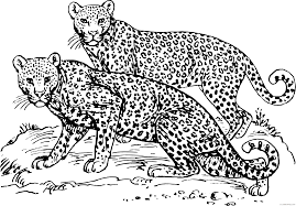 Agile leopard on a tree: Leopard Coloring Pages Leopard Printable Coloring4free Coloring4free Com