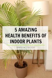 5 Amazing Health Benefits Of Indoor Plants Simply Nicole Benefits Of Indoor Plants Plants Indoor Plants