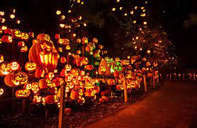 Pin By Kyla Mortek On My Home Minnesota In 2020 Jack O Lantern Jack O Lantern Spectacular Lanterns