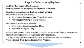 Image result for Status Epilepticus