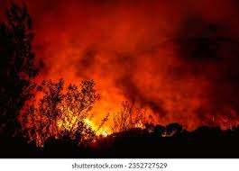 Image result for tbn:XVFRz-6Maj2JLM::www.jolmag.co.za/wildfire/images/Logos/vuvuzela_header.jpg