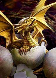 By Anne Stokes Baby Dragon Dragon Pictures Dragon Artwork