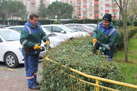 Başakşehir belediyesi haritası, telefonu ve uydu görüntüsü. Basaksehir Belediyesi Nin Sitemiz Icin Yapmis Oldugu Peyzaj Calismalari Basaksehir 2 Etap