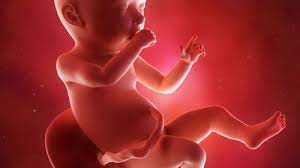 Ssw ist dein baby bereits ca. 19 Ssw Schwangerschaftswoche Alle Infos Tipps 9monate De