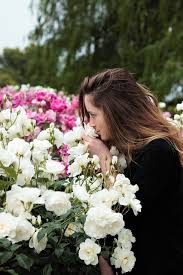 Ecco tutte le risposte di pianta dai profumatissimi fiori bianchi in spighe. 7 Fiori Profumatissimi Per Terrazza E Giardino Ifioridimark Giardinaggio Fai Da Te Piante Da Appartamento Piante Giardini Girasoli Fiori Rose Arredo Terrazzo Tulipani