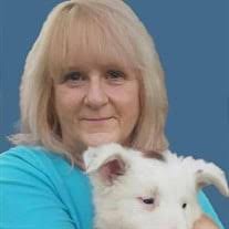 Robin Lynn Abshire Obituary (2022)