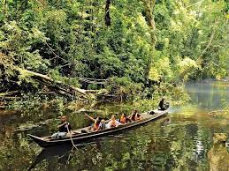 Tuan/puan akan boleh memilih chalet atau resort yang sesuai yang hampir kesemuanya terletak di kuala tahan. Taman Negara One Of The World S Oldest Tropical Rainforest