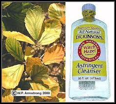 Allspice Bay Rum Bay Leaves Capers Cloves Nutmeg Witch Hazel Photos