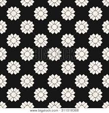 Black and white flowers background pattern vector image. Vector Floral Vector Photo Free Trial Bigstock