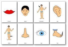 Head Shoulders Knees And Toes Nursery Rhyme Song With Lyrics In French And In English