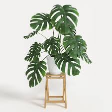 Yuk, lanngsung aja cek hiasan rumah kreatif pernahkah kamu berpikir untuk mempercantik rumah sendiri? 10 Idea Pokok Hiasan Dalam Rumah Mak Boleh Tanam Bidadari My