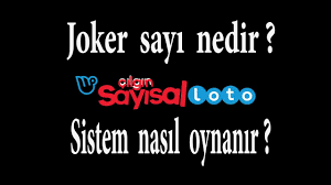 Ayrıca milli piyango satış bayilerinden çılgın sayısal loto kuponunu oluşturarak, oyun oynayabilirsin. Cilgin Sayisal Loto Da Joker Sayi Ne Ise Yarar Sistemli Nasil Oynanir Youtube