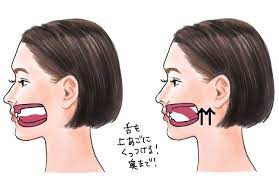 だらしない輪郭の原因は 舌を置く場所 仕事中でもバレない 舌トレ で小顔へ 舌 トレーニング 顔 フェイスマッサージ