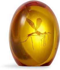 Ambers are amazing friends without them the world would fall apart. Jurassic Park Mosquito In Amber Resin Prop Replica Savin It Saving Interesting And Unique Products Around The Web
