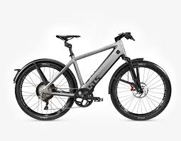 Ebiker Laufenburg E Bike Store Am Hochrhein
