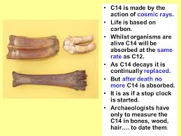 How does radiocarbon dating work? Understanding Carbon 14 Analysis