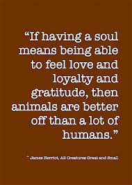 If Having A Soul Means Being Able To Feel Love And Loyalty And Gratitude Then Animals Are Better Off Than A Lot Of Humans Soul Meaning Feeling Loved Feelings