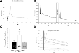 He gets it from his momma! Sniffer Cells For The Detection Of Neural Angiotensin Ii In Vitro Scientific Reports