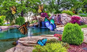 We did not find results for: 3d Butterfly Live Wallpaper For Android Apk Download