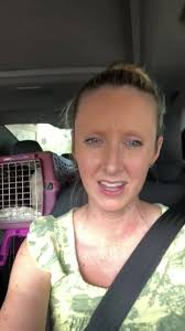 Female Persian Blue Cream Lynx Point Viola ❤️