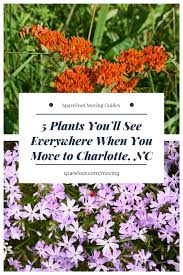 When to plant garden in nc. 5 Plants You Ll See Everywhere When You Move To Charlotte Nc Sparefoot Moving Guides Plants North Carolina Gardening Porch Plants