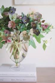 Check spelling or type a new query. Hellebore Care Conditioning Flower Arrangements Flower Vases Flowers