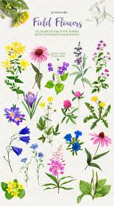 Beautiful young blonde woman in a field of wildflowers. Watercolor Field Flowers Collection Elegant Wall Art Floral Art Flower Drawing