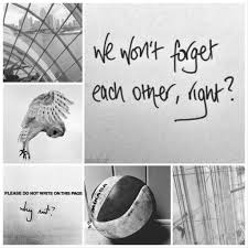 Aesthetic Bio Template Amino Copy And Paste Short Bio Template Wiki Haikyuu Amino