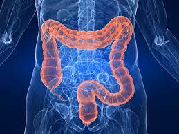 Uk National Health Service Undertakes Probiotic Colon Study