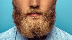 10 Best Beard Oils For Men In 2020 The Manual Best Beard Oil Beard Oil Hair And Beard Styles