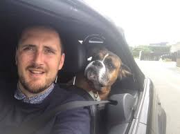 A quick intro, I've setup this group for all of us Boxer parents who's dogs  have passed, to share memories, support each other and to share  information. So please feel free to