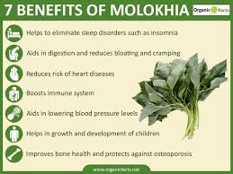 Some Of The Health Benefits Of Molokhia Include Its Ability To Protect Heart Health Regulate Dige Plant Based Benefits Reduce Bloating Instant Pressure Cooker