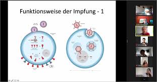 Kampfansage an netflix und amazon. Zg8n Q8bpedibm