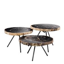 Fashionable sleek living room furniture. De Soto Dark Petrified Wood Coffee Table Set Of 3 Shop Now